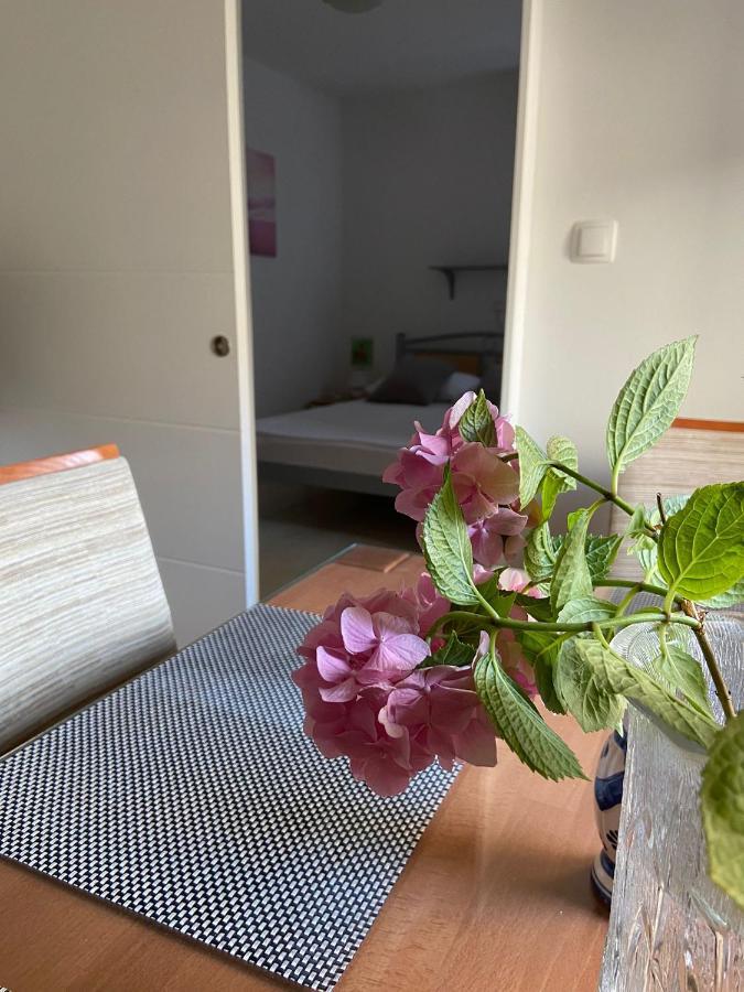 Duje & Roko Apartments Sibenik Bagian luar foto
