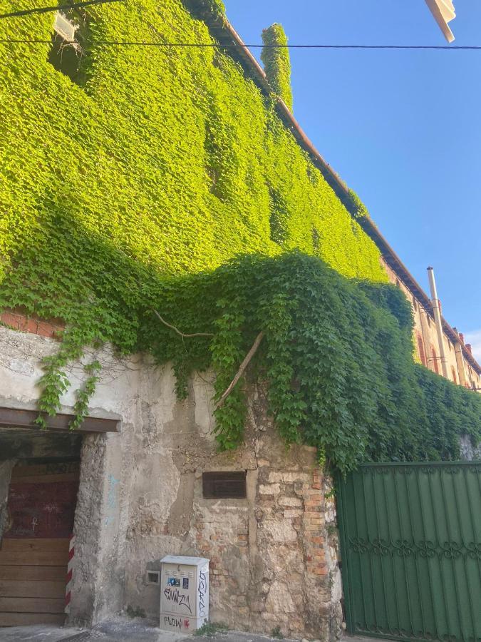 Duje & Roko Apartments Sibenik Bagian luar foto
